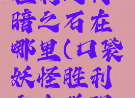 口袋妖怪胜利之火暗之石在哪里(口袋妖怪胜利之火觉醒之石)