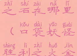 口袋妖怪胜利之火暗之石在哪里(口袋妖怪胜利之火金手指作弊码)