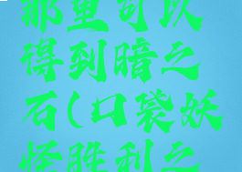 口袋妖怪胜利之火那里可以得到暗之石(口袋妖怪胜利之火进化石在哪里买)