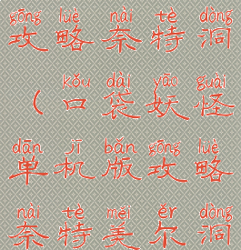 口袋怪单机攻略奈特洞(口袋妖怪单机版攻略奈特美尔洞)