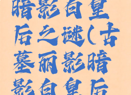 古墓丽影暗影白皇后之谜(古墓丽影暗影白皇后之谜棋子)