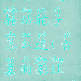 古墓丽影暗影水流转动轮子怎么过(古墓丽影让水流到桶里)