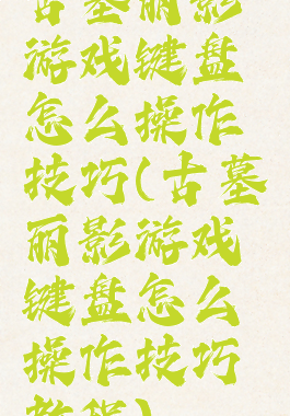 古墓丽影游戏键盘怎么操作技巧(古墓丽影游戏键盘怎么操作技巧教程)