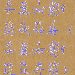 古墓丽影9游戏秘籍(古墓丽影9玩法介绍)