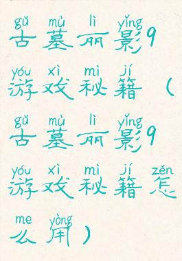 古墓丽影9游戏秘籍(古墓丽影9游戏秘籍怎么用)