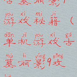 古墓丽影9游戏秘籍(单机游戏古墓丽影9攻略)