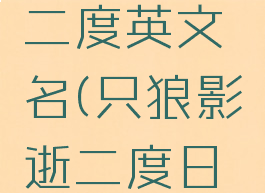 只狼影逝二度英文名(只狼影逝二度日文名)