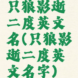 只狼影逝二度英文名(只狼影逝二度英文名字)