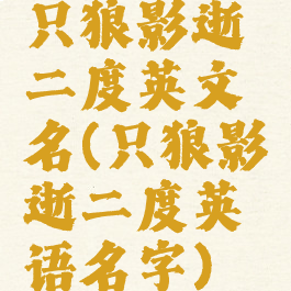 只狼影逝二度英文名(只狼影逝二度英语名字)