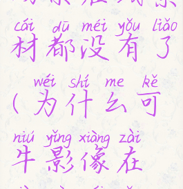 可牛影像场景在线素材都没有了(为什么可牛影像在线素材怎么打不开)