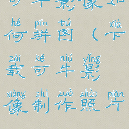 可牛影像如何拼图(下载可牛影像制作照片)