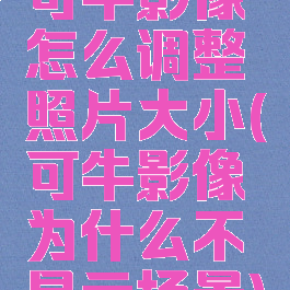 可牛影像怎么调整照片大小(可牛影像为什么不显示场景)
