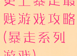 史上暴走最贱游戏攻略(暴走系列游戏)