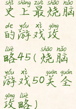 史上最烧脑的游戏攻略45(烧脑游戏50关全攻略)