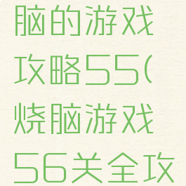 史上最烧脑的游戏攻略55(烧脑游戏56关全攻略)