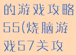 史上最烧脑的游戏攻略55(烧脑游戏57关攻略)