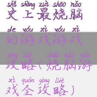 史上最烧脑的游戏游戏攻略(烧脑游戏全攻略)