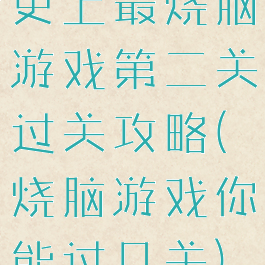 史上最烧脑游戏第二关过关攻略(烧脑游戏你能过几关)