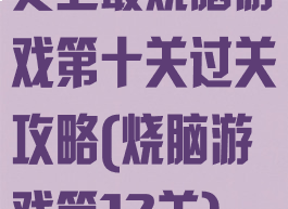 史上最烧脑游戏第十关过关攻略(烧脑游戏第12关)