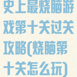 史上最烧脑游戏第十关过关攻略(烧脑第十关怎么玩)