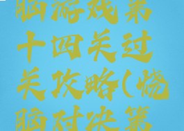 史上最烧脑游戏第十四关过关攻略(烧脑对决第十四关)