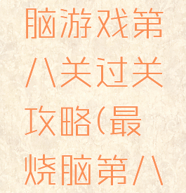 史上最烧脑游戏第八关过关攻略(最囧烧脑第八关)
