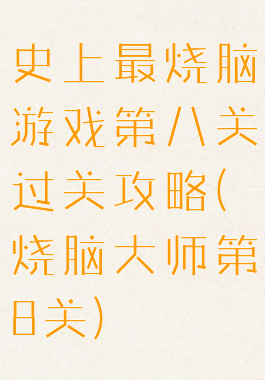 史上最烧脑游戏第八关过关攻略(烧脑大师第8关)