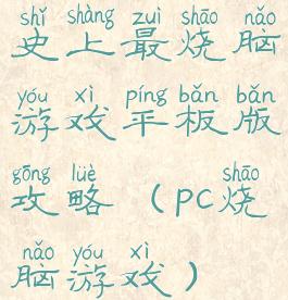 史上最烧脑游戏平板版攻略(pc烧脑游戏)