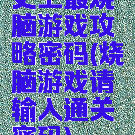 史上最烧脑游戏攻略密码(烧脑游戏请输入通关密码)