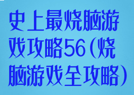史上最烧脑游戏攻略56(烧脑游戏全攻略)