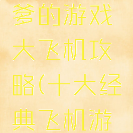 史上最坑爹的游戏大飞机攻略(十大经典飞机游戏)