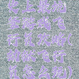 史上最坑爹游戏飞行员攻略(劫狱飞行员怎么玩)