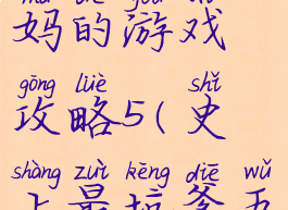 史上最坑妈的游戏攻略5(史上最坑爹五攻略)