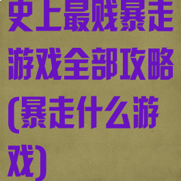 史上最贱暴走游戏全部攻略(暴走什么游戏)