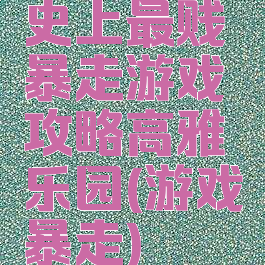史上最贱暴走游戏攻略高雅乐园(游戏暴走)