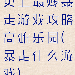 史上最贱暴走游戏攻略高雅乐园(暴走什么游戏)