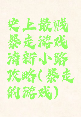 史上最贱暴走游戏清新小路攻略(暴走的游戏)