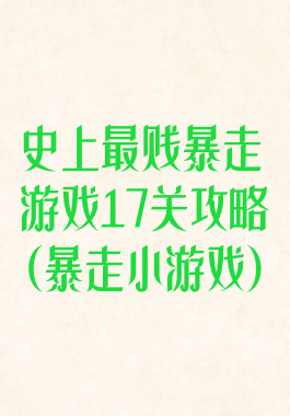 史上最贱暴走游戏17关攻略(暴走小游戏)