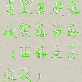 史上最贱游戏攻略田野(田野里的游戏)