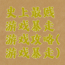 史上最贱游戏暴走游戏攻略(游戏暴走)