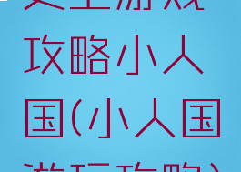 史上游戏攻略小人国(小人国游玩攻略)