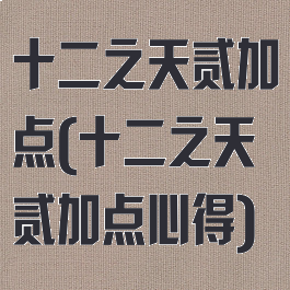 十二之天贰加点(十二之天贰加点心得)
