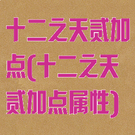 十二之天贰加点(十二之天贰加点属性)
