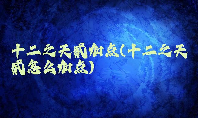 十二之天贰加点(十二之天贰怎么加点)