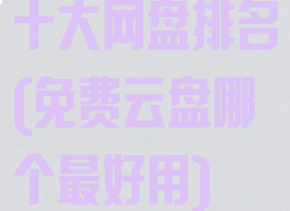 十大网盘排名(免费云盘哪个最好用)