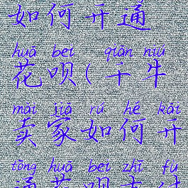 千牛卖家如何开通花呗(千牛卖家如何开通花呗支付功能)