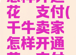千牛卖家怎样开通花呗支付(千牛卖家怎样开通花呗支付服务)
