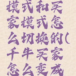 千牛卖家模式和买家模式怎么切换的(千牛买家怎么变成卖家平台)