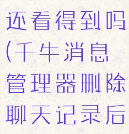 千牛删除聊天记录电脑还看得到吗(千牛消息管理器删除聊天记录后主账号还能看到吗)