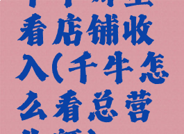 千牛哪里看店铺收入(千牛怎么看总营业额)